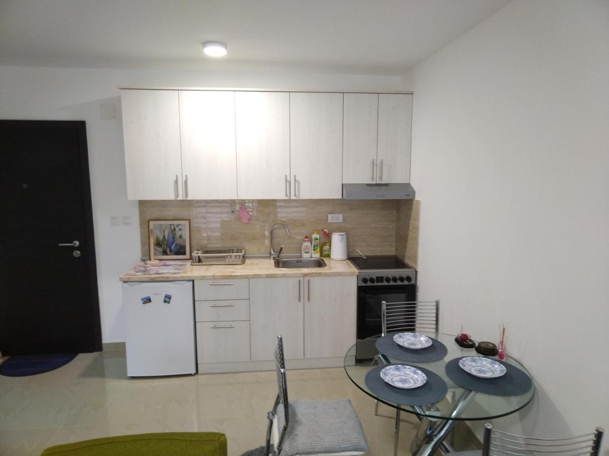 Apartman "N" Srebrno Jezero Ostrovo エクステリア 写真